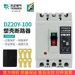 TENGEN天正電氣DZ20Y-100/3300 100A塑殼斷路器3P空氣開關63A三相