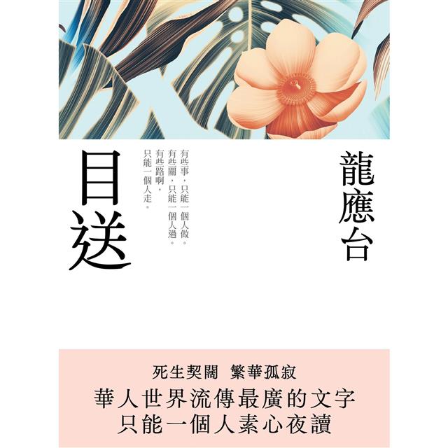 龍應台人生四書（限量禮盒組）：《孩子你慢慢來》、《親愛的安德烈》、《目送》、《天長地久》 7
