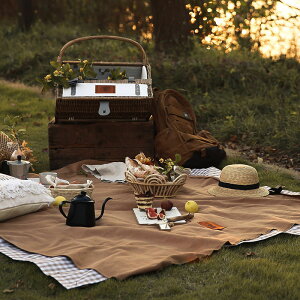 野餐墊地毯防潮墊加厚戶外便攜草地公園郊游春游墊子野餐布墊露營