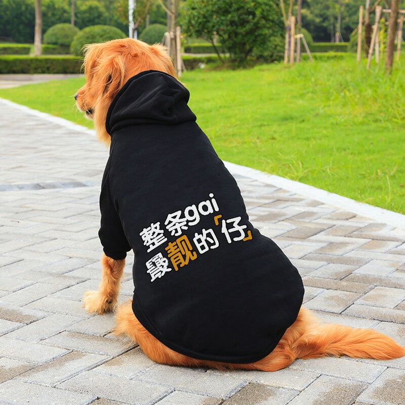 狗狗衣服 大型犬衣服 寵物衣服 大狗狗衣服秋冬裝金毛的拉布拉多薩摩耶哈士奇邊牧中型大型犬冬季『xy17022』