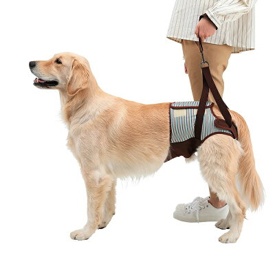 中大型犬 日本進口寵物步行輔助用品 全商品 藍色尾巴bluetail Rakuten樂天市場 中大型犬 日本進口寵物步行輔助用品 全商品 藍色尾巴bluetail Rakuten樂天市場