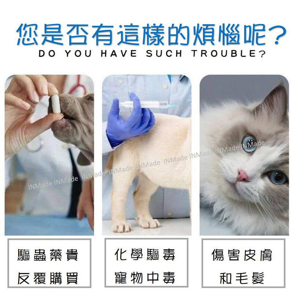 微電流除蚤梳【驅蚤必備工具💎免運現貨】蚤梳 驅蚤 除蚤梳 除跳蚤 除蝨 Flea Doctor 5