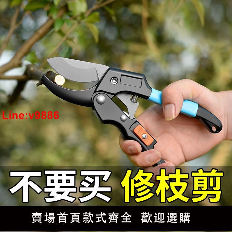 【臺灣公司 超低價】普朗德修枝果樹剪樹枝強力園藝剪枝剪刀園林工具葡萄花藝花卉剪子