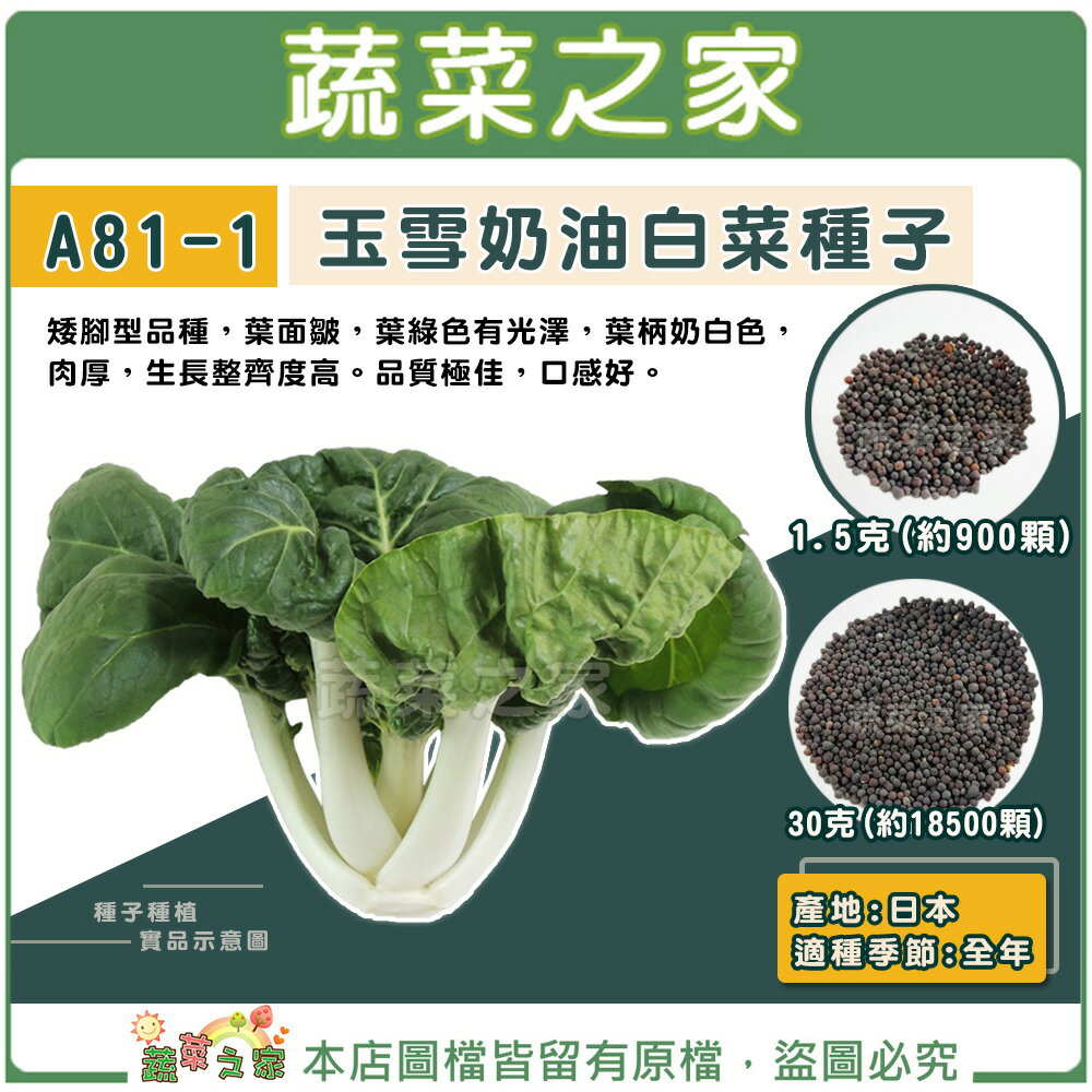 【蔬菜之家】A81-1.玉雪奶油白菜種子 (牛奶白菜)(共有2種包裝可選)