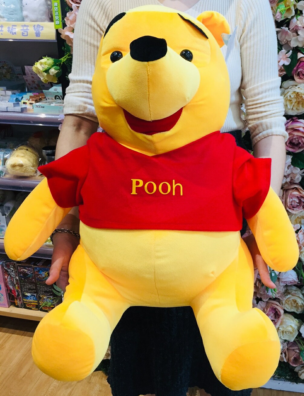 大賀屋 正版 小熊維尼 娃娃 玩偶 裝飾 20吋維尼 維尼熊 pooh 迪士尼 T00120709