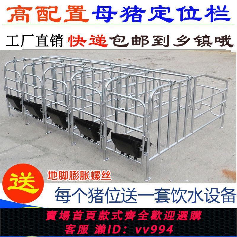 {公司貨 最低價}母豬定位欄限位欄快遞包郵到鄉鎮加厚鍍鋅管焊接養豬裝置器械