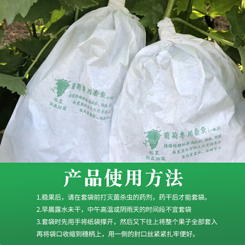 防蟲袋 水果套袋 包葡萄套袋專用紙袋防蟲防鳥水果防水雨套葡萄用的袋子蓮霧專用袋