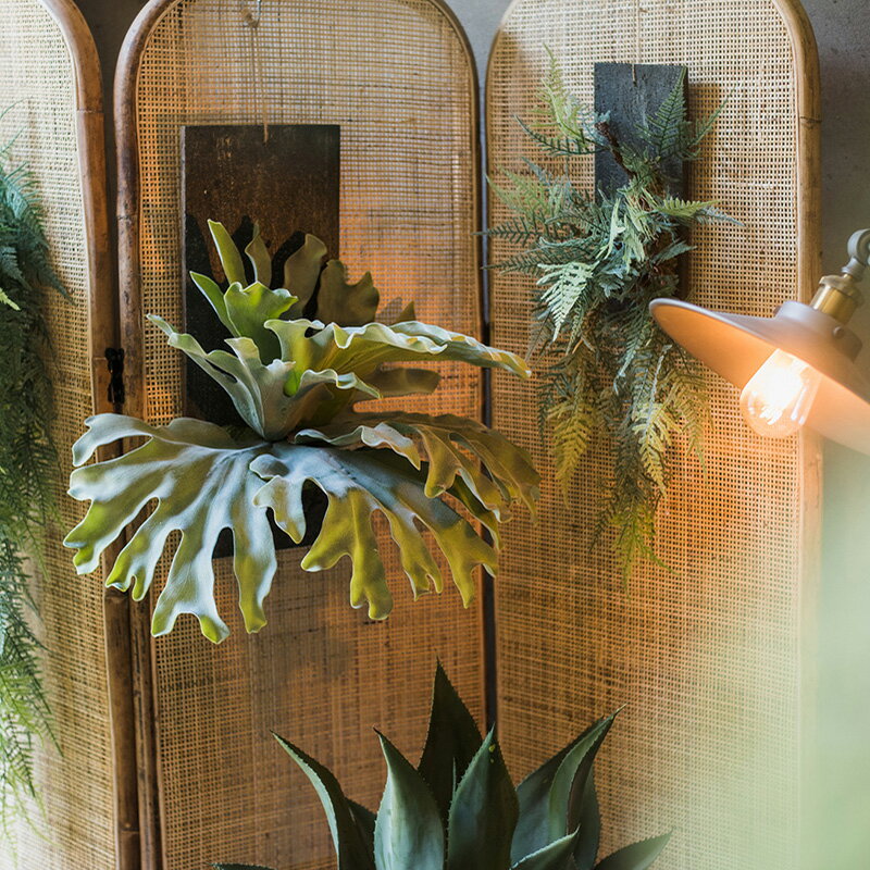 掬涵 仿真大鹿角蕨垂吊壁掛 裝飾綠植套裝花藝設計師空間陳列