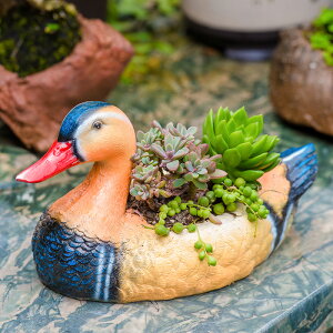花園裝飾 庭院擺件戶外園藝裝飾創意小動物多肉花盆 樹脂鴨子擺件