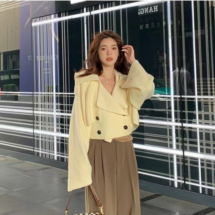 女裝 外套 韓系風 氣質上衣 韓版   女裝秋套裝設計感毛衣女新款秋季慵懶風別緻短款洋秋冬季女裝 治裝激推 4