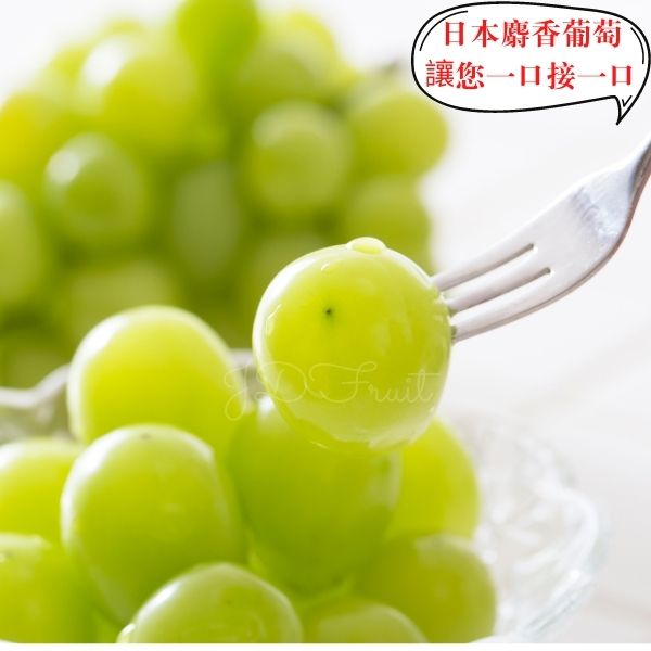【緁迪水果JDFruit】日本長野/山梨縣溫室麝香葡萄(1房禮盒_500g/串) 2