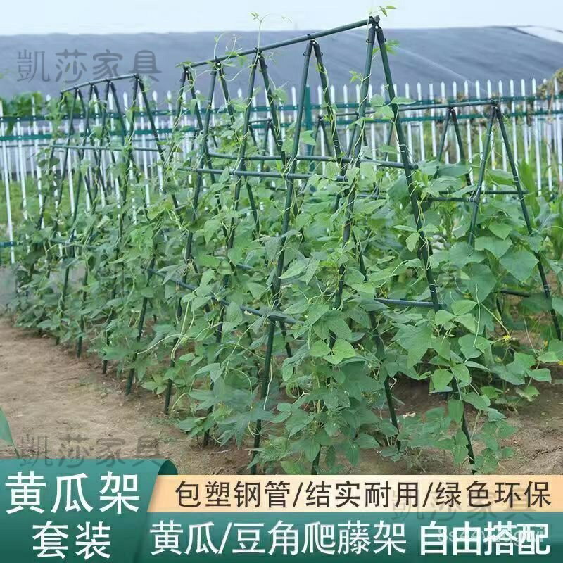 豆角黃瓜架 爬藤架 種菜專用架子 包塑鋼管園藝支架 植物爬藤架 花架 置物架 菜架 果樹架 園藝植作