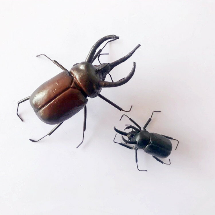仿真昆蟲模型 雙叉犀金龜 兜蟲 甲蟲 獨角仙 攝影道具教科認知