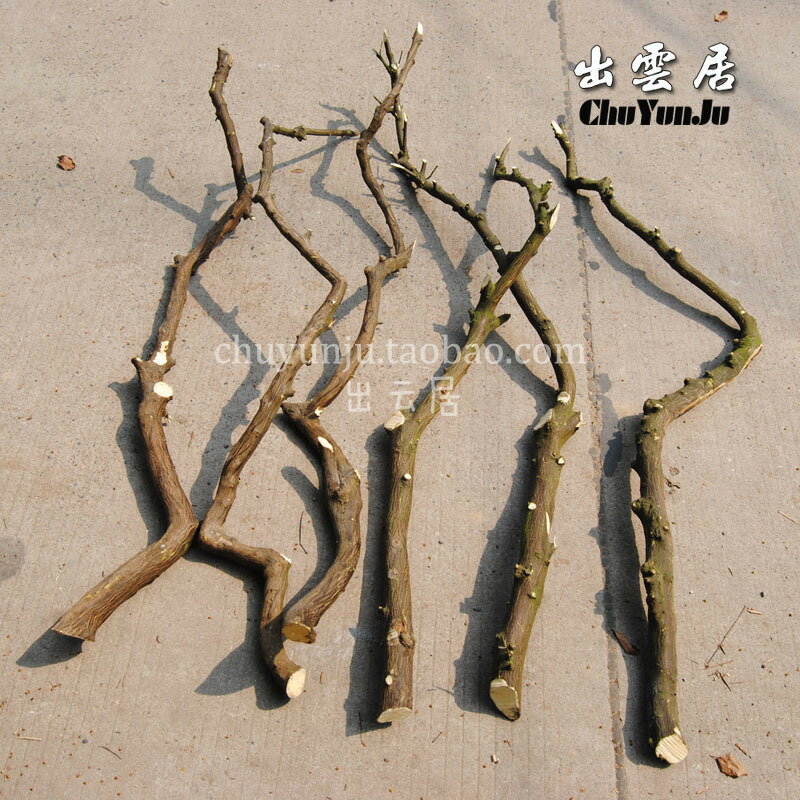 天然本色木色幹樹枝樹幹 裝飾樹枝枯枝枯木道具樹枝幹枝 帶皮樹枝