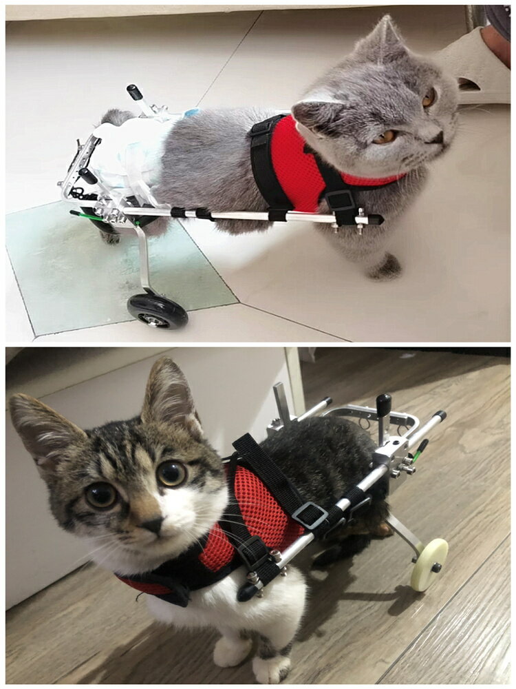 貓輪椅車后肢貓咪后腿癱瘓殘疾康復訓練脊椎斷裂小奶貓輪椅輕便型