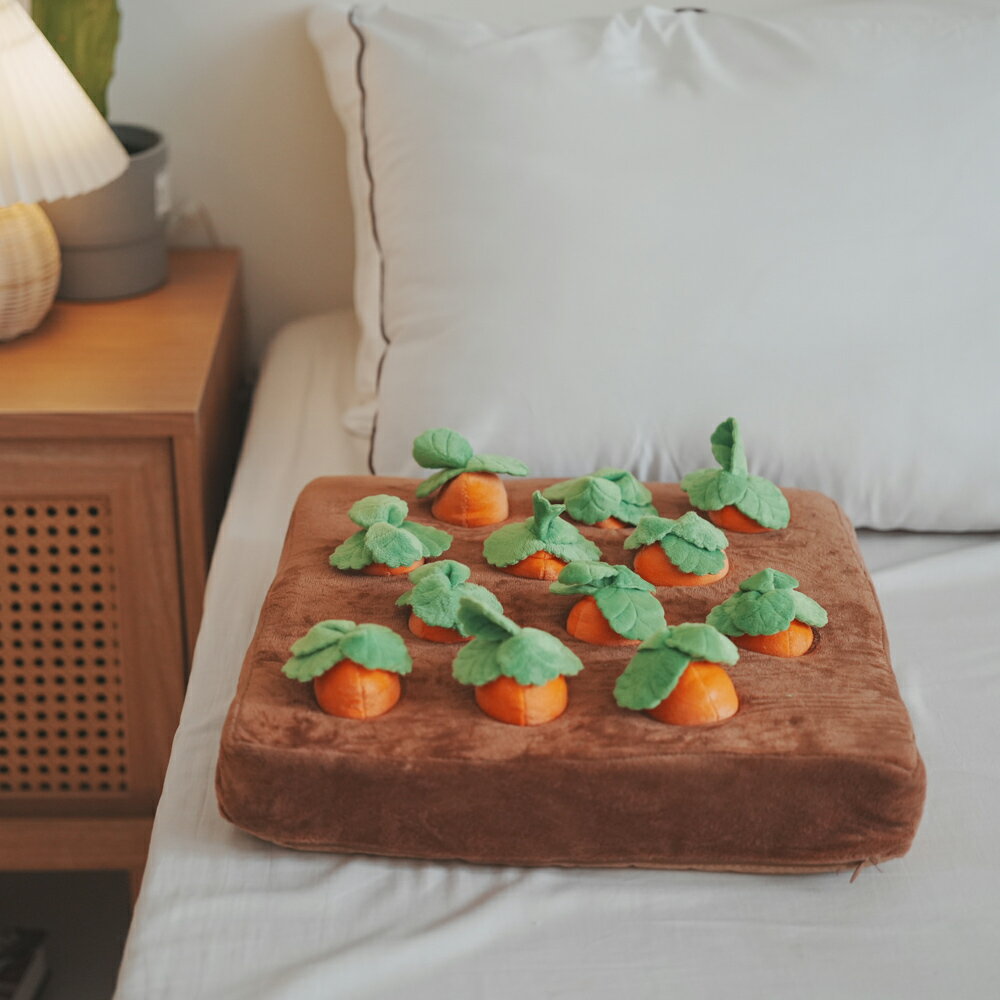 拔呀拔蘿蔔 寵物玩具 可當坐墊 療癒系 棉床本舖