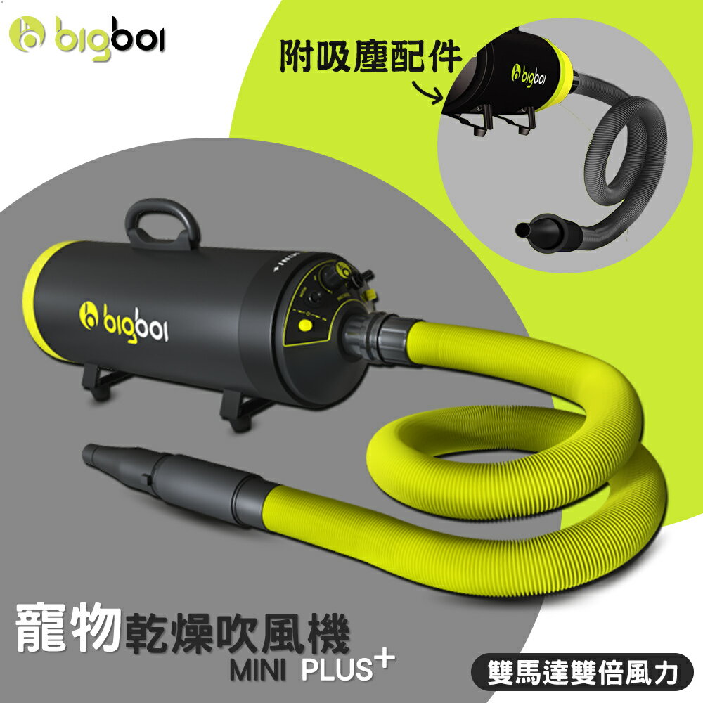 全新上市【bigboi】MINI PLUS 雙馬達吹風機+吸塵套件 吹水&吸塵 寵物洗澡 汽車美容 汽車清潔 MINI+
