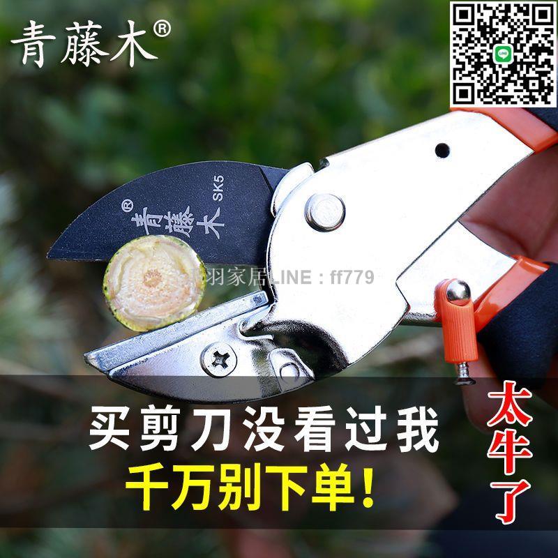 【千羽家居】青藤木果樹剪刀樹枝家用剪子修枝剪修樹枝剪刀園藝園林剪刀粗枝剪