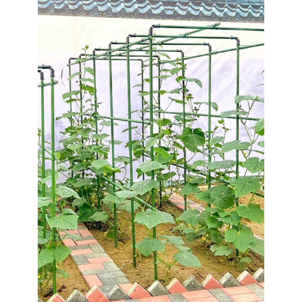 附發票 爬藤支架 玫瑰 園藝爬藤架 植物爬藤架 拱門花架 葡萄黃瓜豆角架 種菜花支架 庭院園藝花卉植物支撐桿西紅柿架