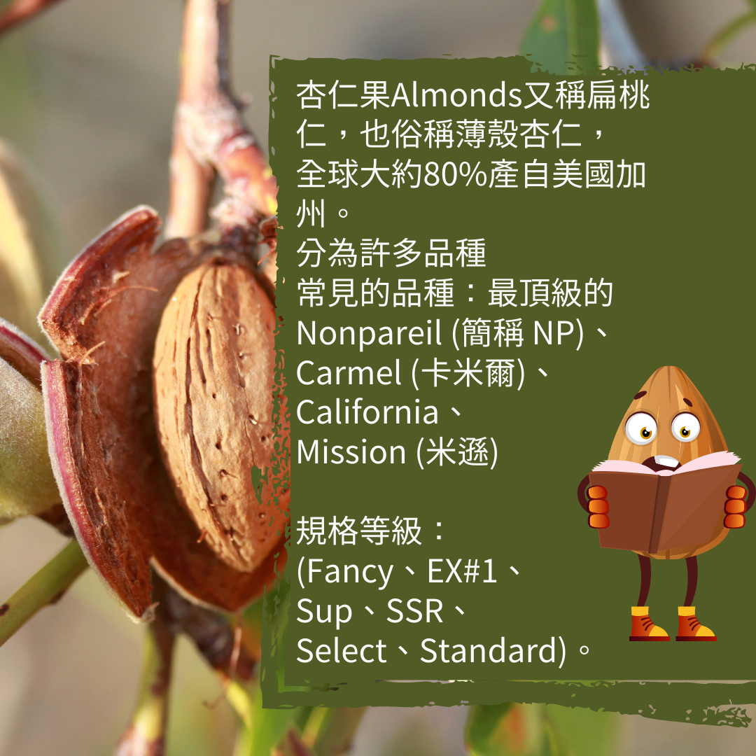 美國加州特級鑽石級杏仁果 香脆回甘，健康首選Almonds 頂級Nonpareil品種 3