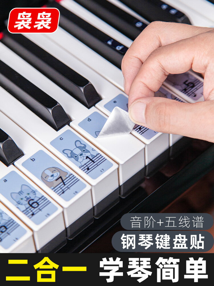 88鍵鋼琴電鋼琴61電子琴通用初學卡通貼紙音標貼音符不粘五線簡譜