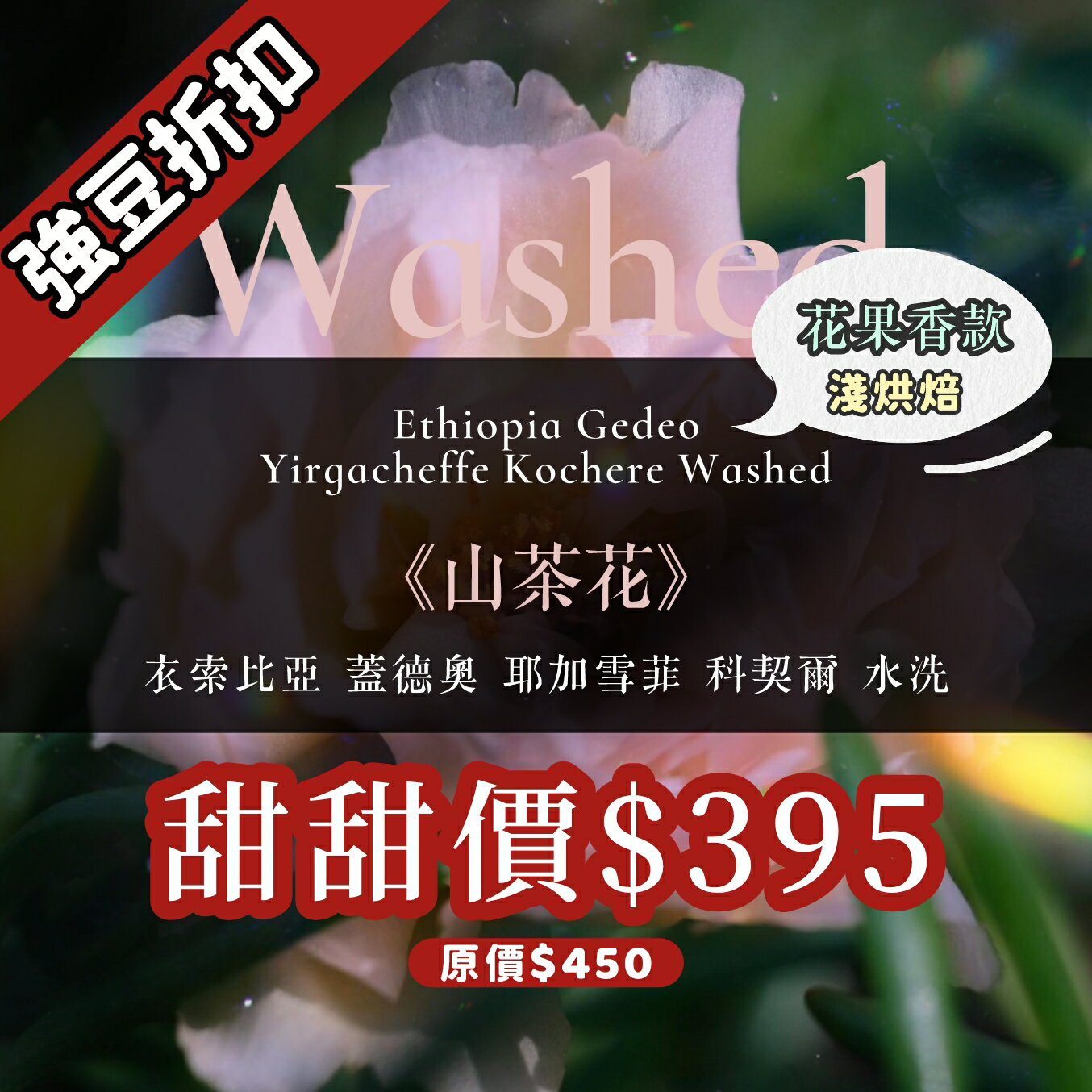 淺烘焙︱《山茶花》衣索比亞 蓋德奧 耶加雪菲 科契爾 水洗 ﹙半磅裝／227g﹚ | 浪館手工豆