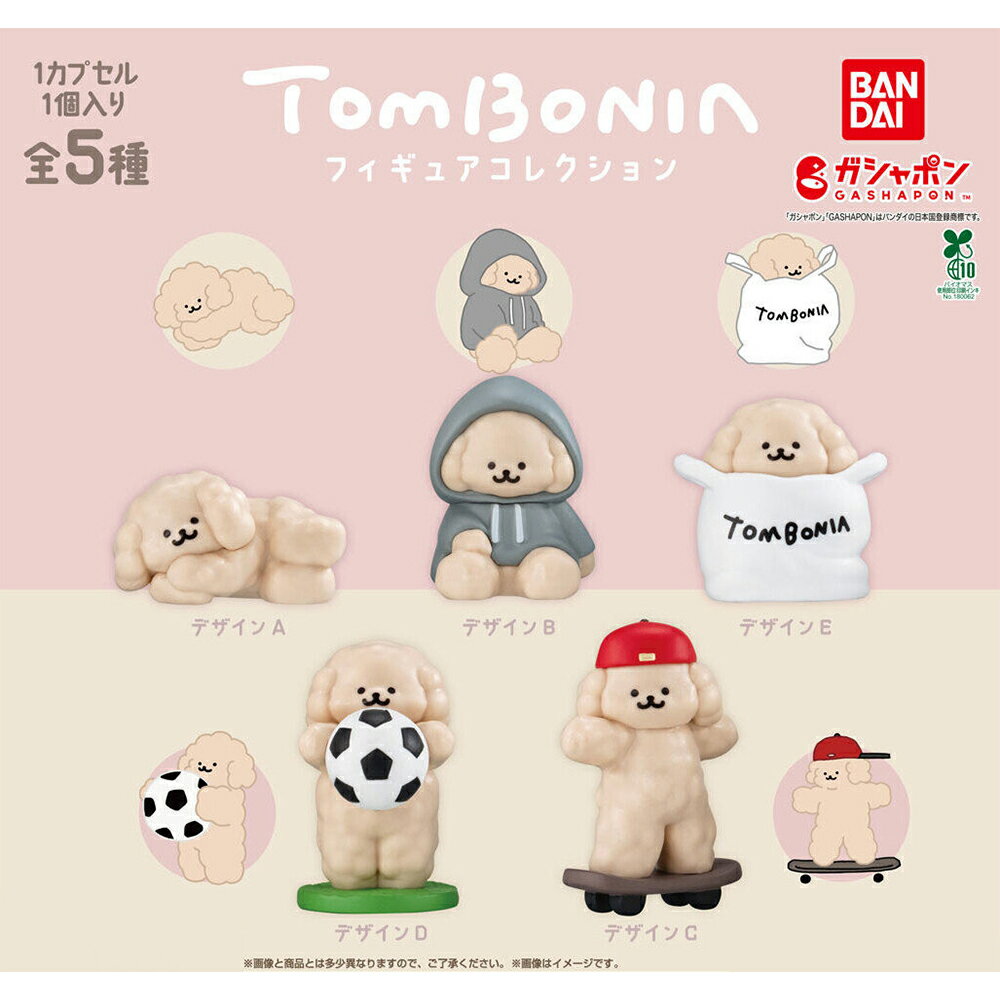 【日本正版】全套5款 Tombonia公仔 扭蛋 轉蛋 公仔 擺飾 貴賓犬 Muck 狗狗 BANDAI 萬代 - 866852