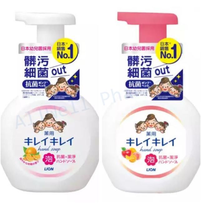 【LION 獅王】趣淨抗菌洗手慕斯（250ml）清爽柑橘 / 清新果香