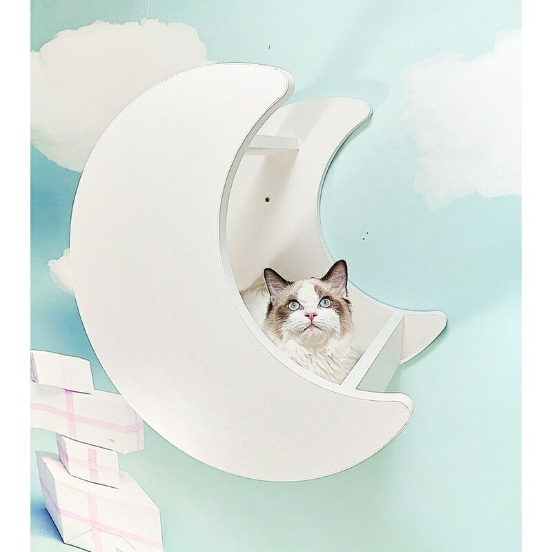 免打孔玻璃貓牆 實木 貓爬架 壁掛劍麻柱 貓窩 貓跳臺 貓太空艙傢俱吸盤 寵物用品 貓用品 寵物傢俱