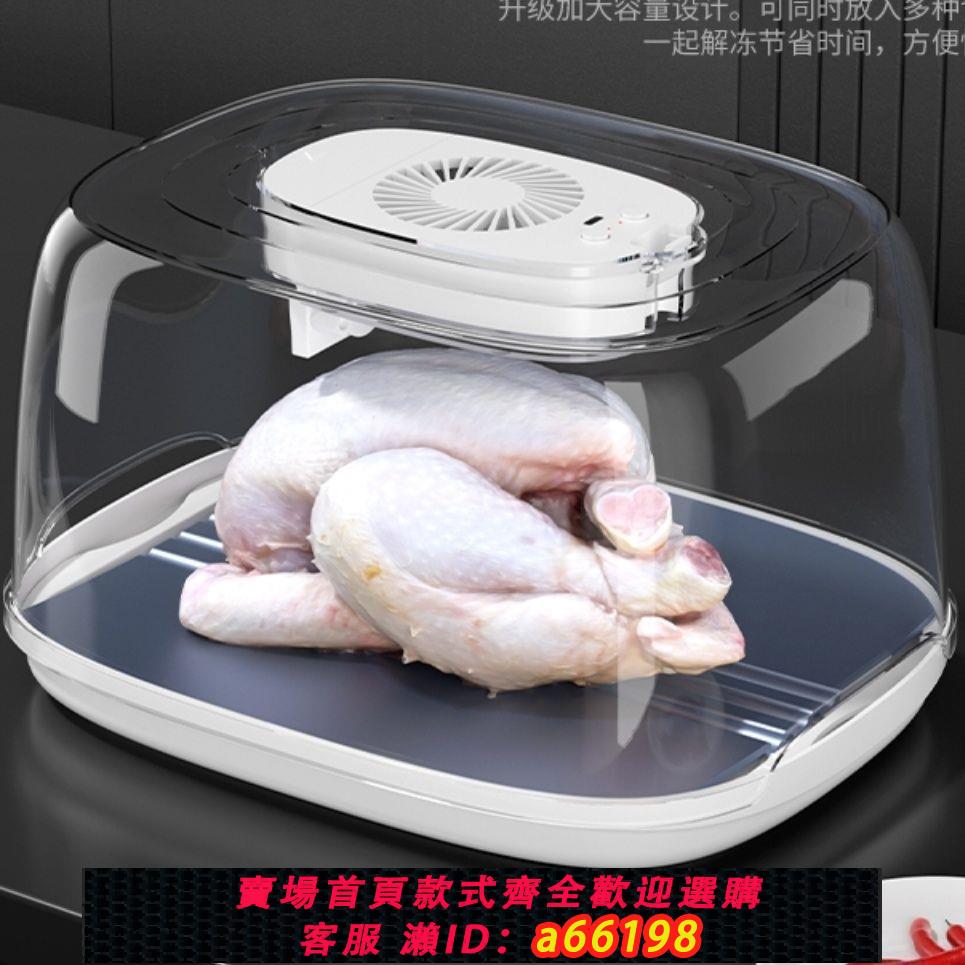 【臺灣公司 可開發票】全自動德國解凍神器恆溫保鮮家用食物解凍機肉類快速導熱板化凍