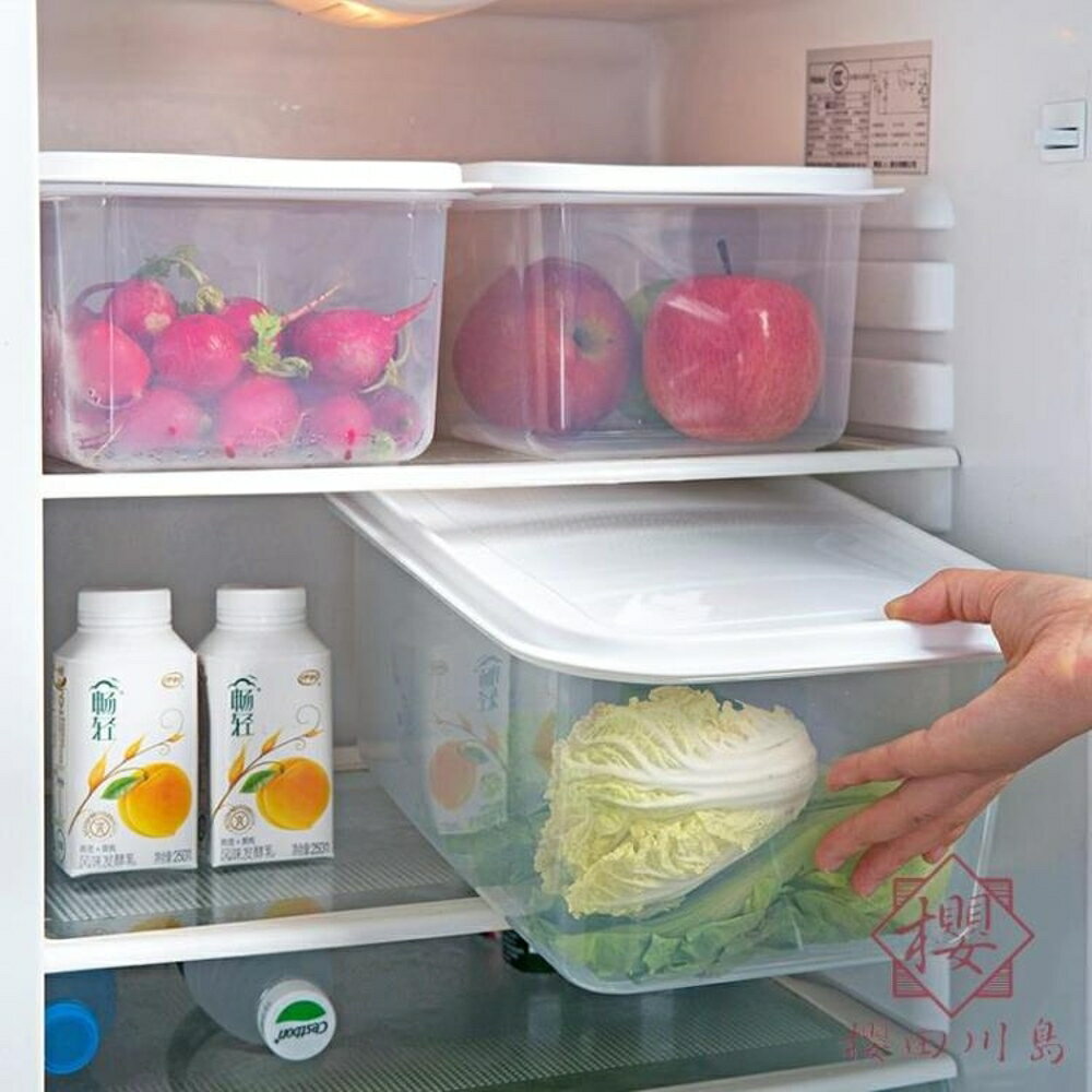 帶蓋塑料保鮮盒冰箱水果盒密封盒蔬菜收納盒【櫻田川島】