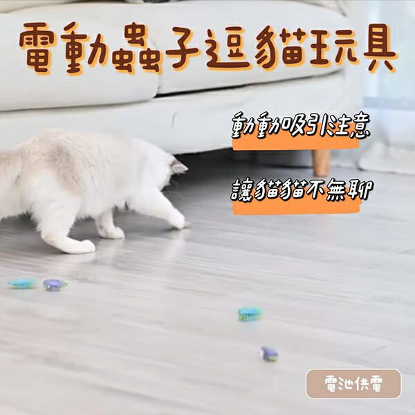 『臺灣x現貨秒出』電動蟲子逗貓玩具 寵物玩具 貓咪玩具 貓玩具 自動逗貓 逗貓