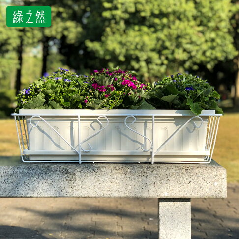 陽台種菜盤長方形塑料花盆陽台室內多肉綠蘿植物花槽種菜盆大號架子欄桿懸掛 Lm2358 浪漫滿屋直營店 樂天市場rakuten 陽台種菜盤長方形塑料花盆陽台室內多肉綠蘿植物花槽種菜盆大號架子欄桿懸掛 Lm2358 浪漫滿屋直營店 樂天市場rakuten