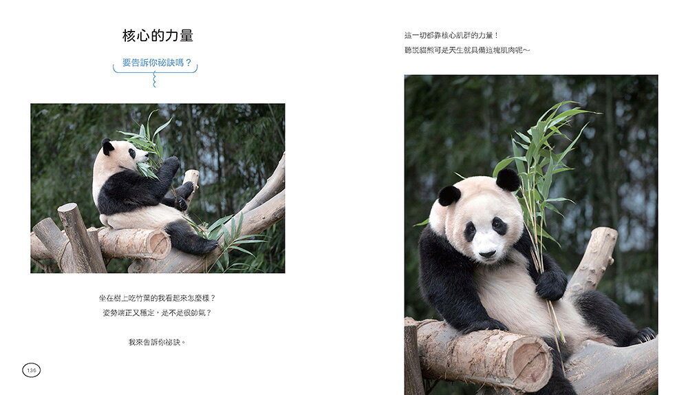 全知福寶視角：小爺爺宋寶眼中的福寶幸福肥日常（首刷限量贈：拍 9