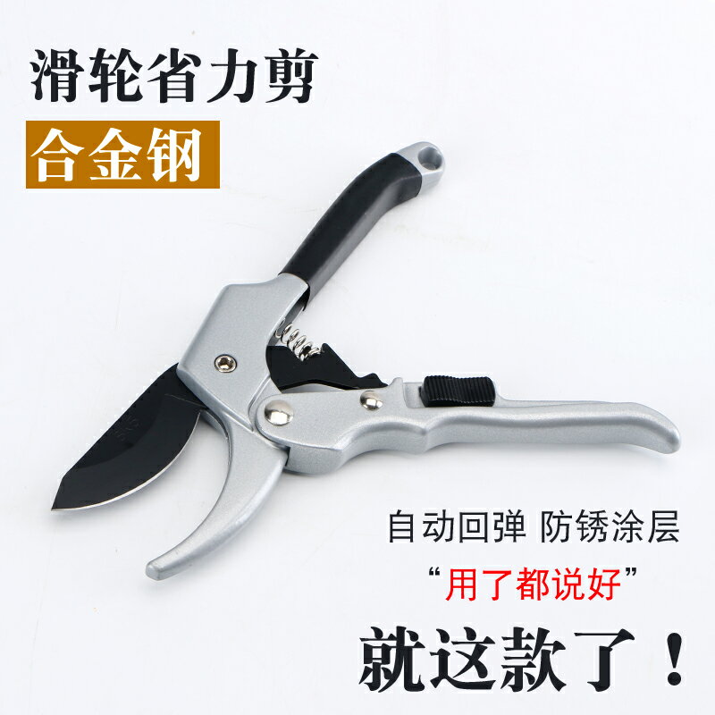 修枝剪刀園林花剪花枝果樹修剪園藝園丁快剪花木修花剪摘果剪粗枝