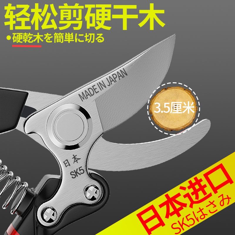現貨免運！園林剪刀 園藝剪刀 剪刀 日本原裝進口修枝剪園藝剪樹枝專用剪刀花藝剪花剪樹剪子果樹花木【八折下殺】【打骨折】【可開發票】【加店長賴享受巨額福利】