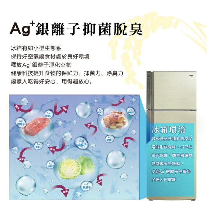 【折300】可議價✨HERAN/禾聯✨  HRE-B4823V 穗香金系列變頻一級雙門電冰箱-485L ★僅竹苗含安裝定位 5