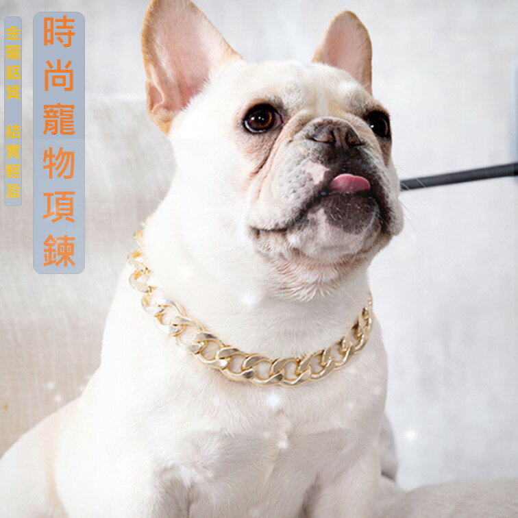 法鬥項鍊 狗狗項鍊 寵物項鍊 惡霸項鍊 比特項鍊 5