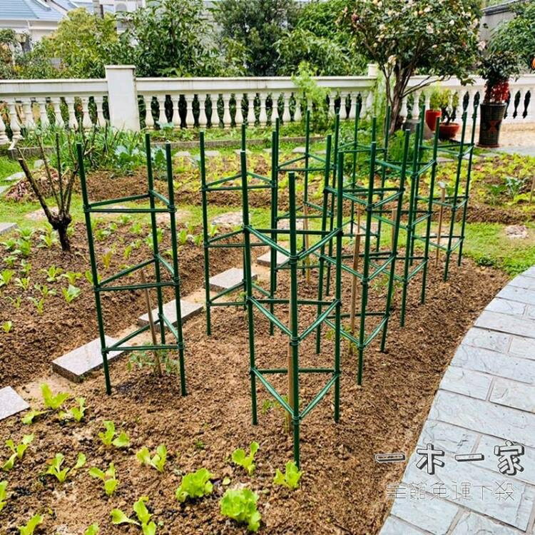 爬藤花架 西紅柿番茄架子陽臺種植架豆角黃瓜爬藤架包塑鋼管支撐架植物固定