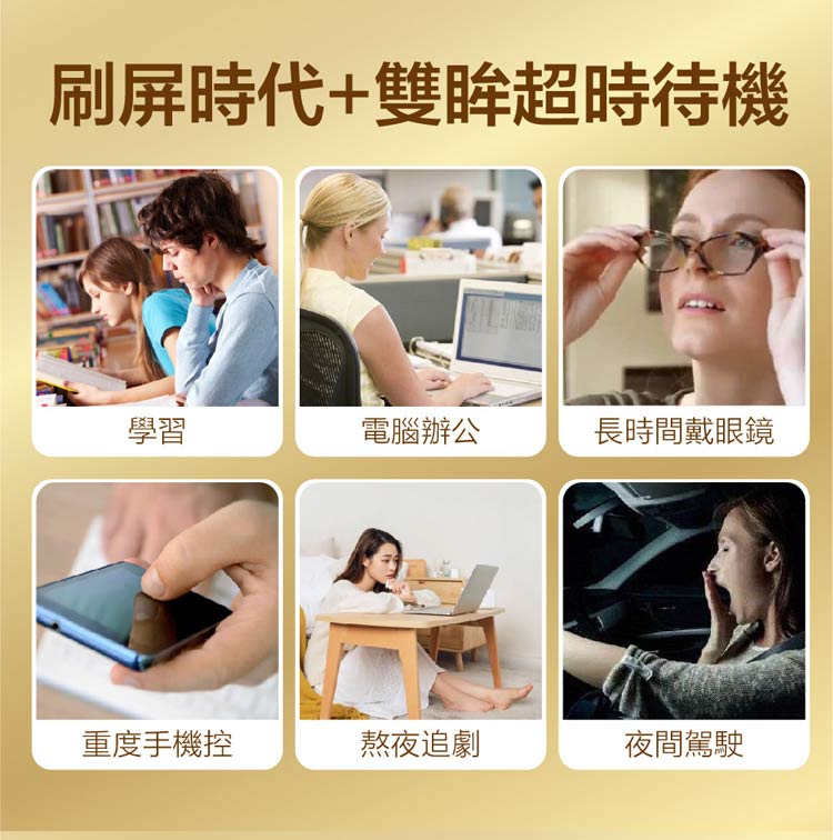 【Kalso 科德司】 金盞花葉黃素軟膠囊(90粒/瓶) 優質德國進口產品 海翔生技 9