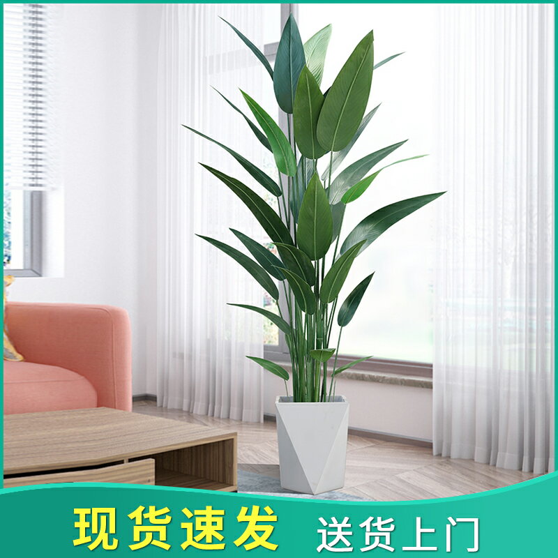 仿真植物美人蕉仿生綠植盆栽假樹北歐風室內客廳大型擺件裝飾盆景