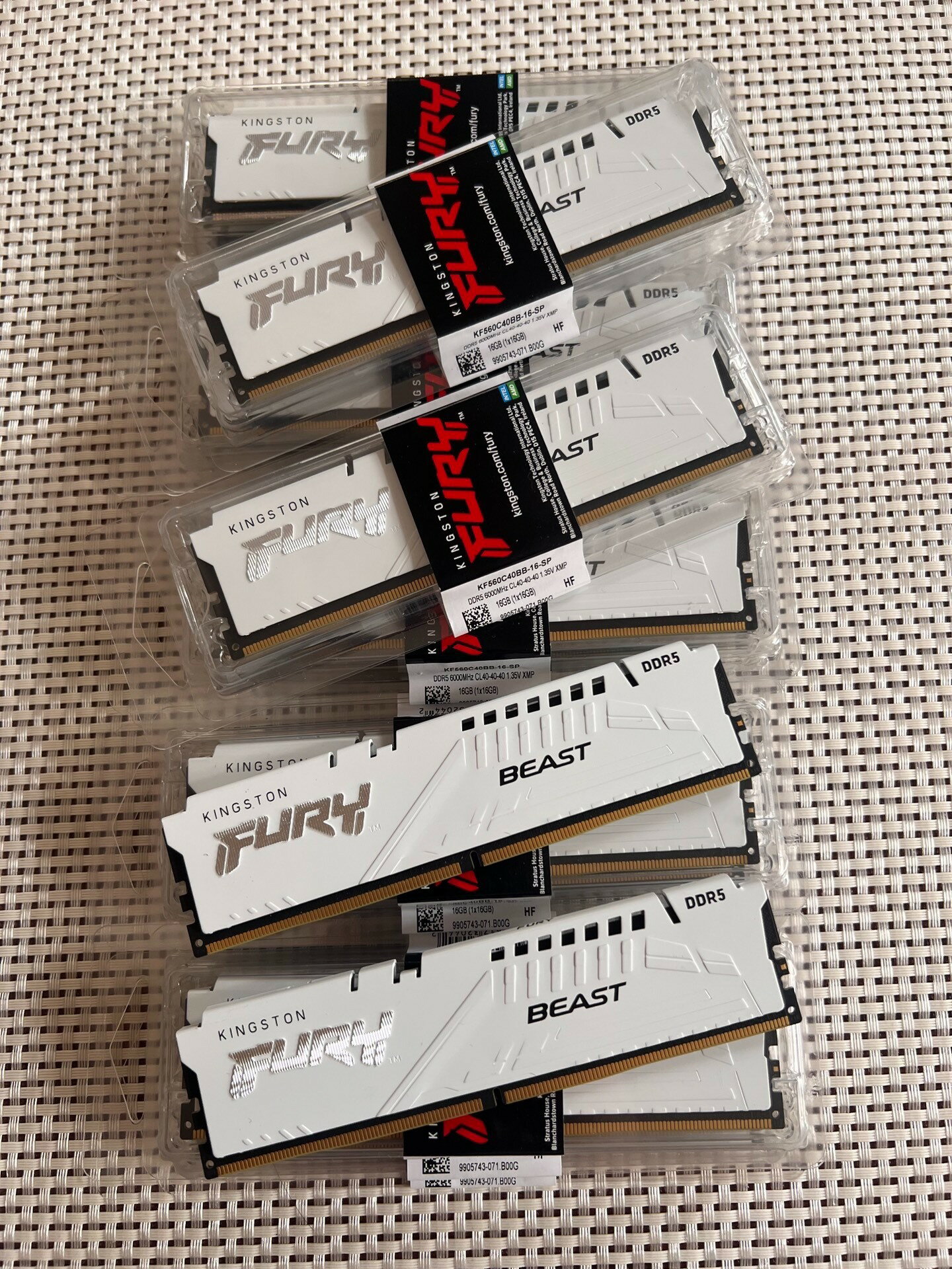 金士頓 DDR5 16G 6000 5600 32G內存條臺式機電腦 套裝 Beast野獸【北歐居家生活】