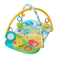 Fisher-Price 費雪 可愛怪獸健身器【悅兒園婦幼生活館】