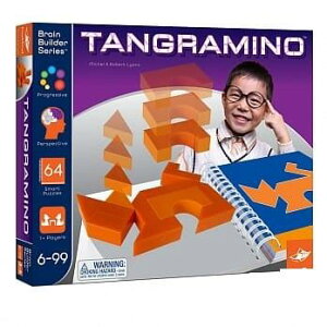 拼接建築師 平面空間概念遊戲 Tangramind 附中文說明書 6歲以上 高雄龐奇桌遊 正版桌遊專賣 機本玩意