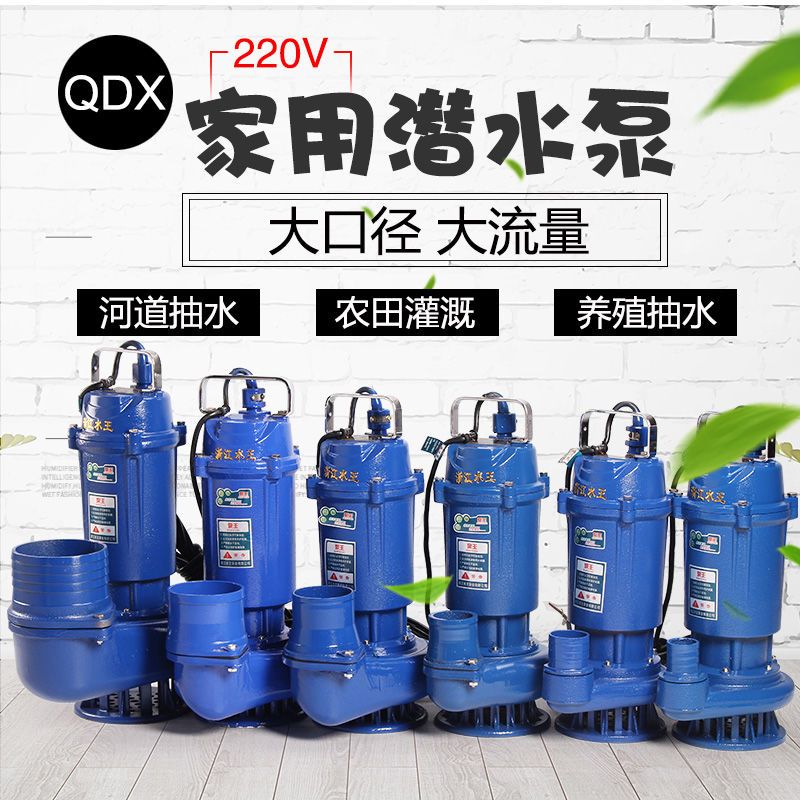 【詢價有驚喜】水王潛水泵6寸單相220V大口徑抽水泵大流量4寸5寸農用灌溉澆地QDX 3