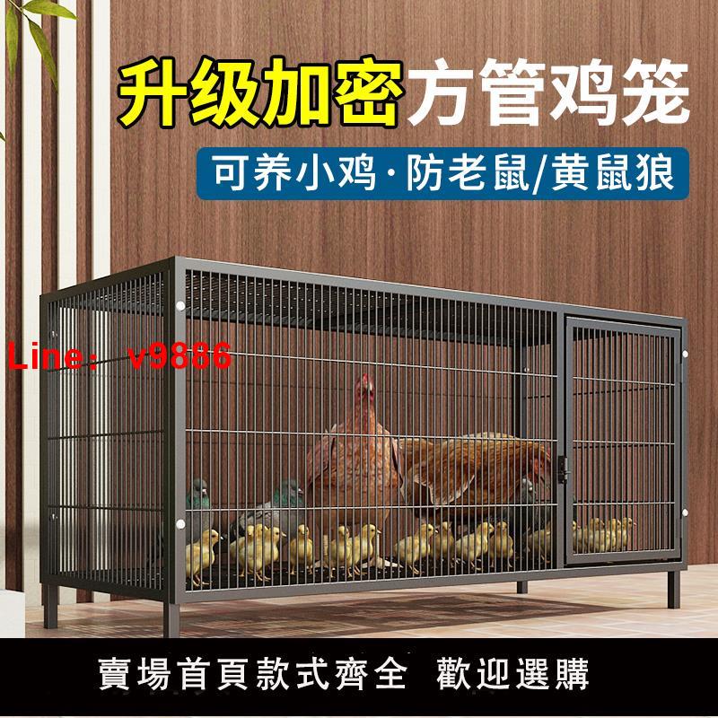 【臺灣公司 可開發票】雞籠子加粗大號家用養殖籠自動滾蛋折疊鴨籠狗籠鵝籠加固廠家直發
