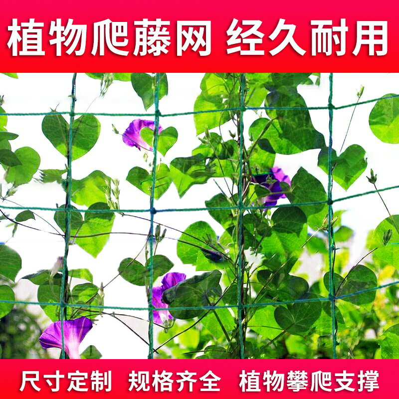 農用園藝戶外爬藤網植物攀爬黃瓜絲瓜葡萄百香果專用網瓜果種植粗