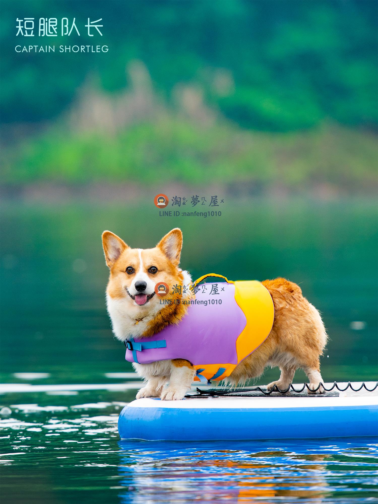 寵物游泳衣狗狗救生衣救援浮力衣服玩水波浪泳衣胸背【淘夢屋】