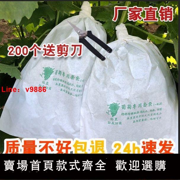 【台灣公司 超低價】葡萄套袋專用袋批發防蟲防鳥家用露天防水防雨袋子套果袋紙袋大號