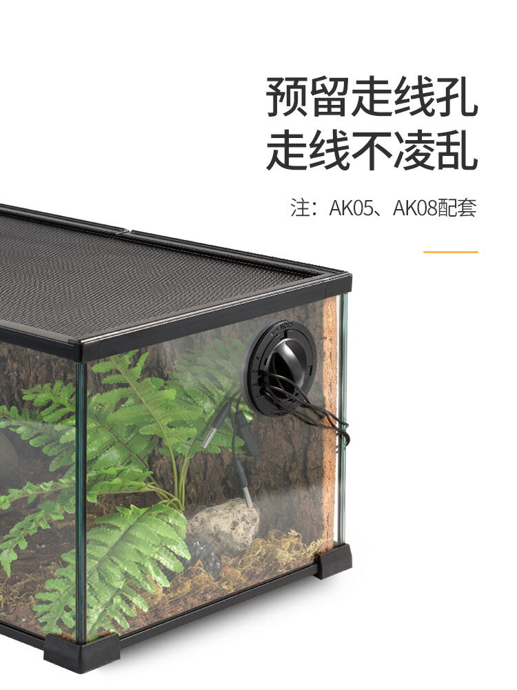 楓林宜居 新派玻璃爬缸蜥蜴守宮蛇甲蟲陸龜爬寵爬蟲角蛙飼養箱盒
